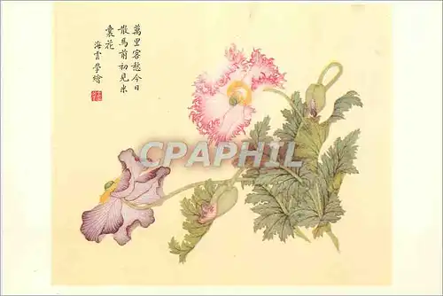 Cartes postales moderne China Pavots