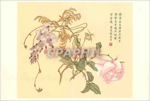 Cartes postales moderne China Rose et Glycine