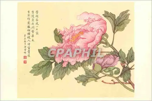 Cartes postales moderne China Pivoines