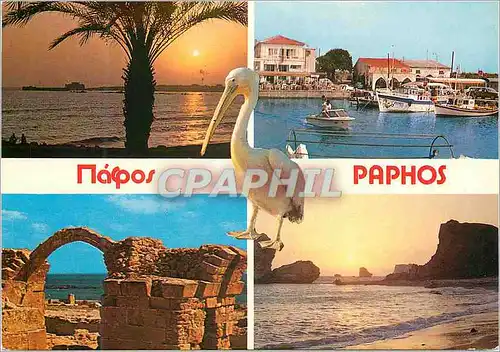 Cartes postales moderne Mapos Paphos