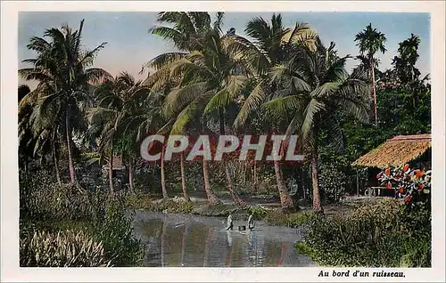 Cartes postales moderne Saigon Au bord d'un ruisseau