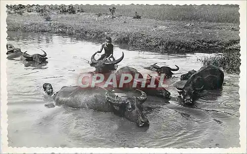 Moderne Karte Saigon Bain de Buffles