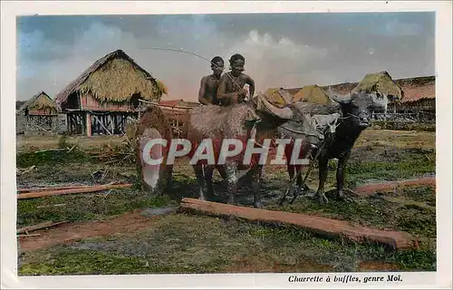 Cartes postales moderne Saigon Charrette a buffles Genre Moi