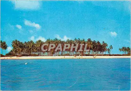 Cartes postales moderne Colombia San Andres (isla) Johny Key