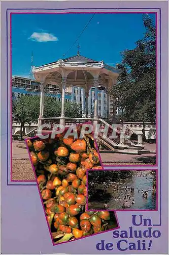 Cartes postales moderne Colombia Cali Retreta Chontaduros Rio Pance