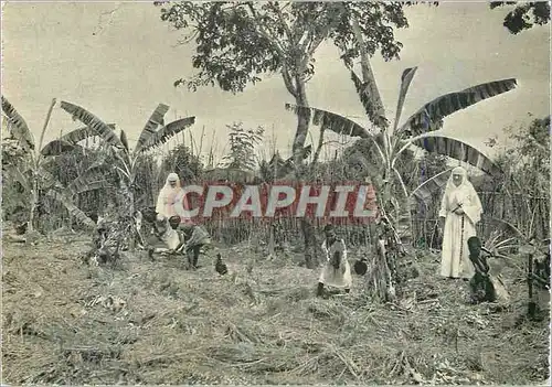 Cartes postales moderne Congo Belge Mission de Kahemba travail au Jardin