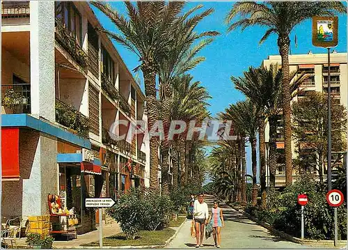 Cartes postales moderne Torremolinos La Roca Promenade des Palmiers