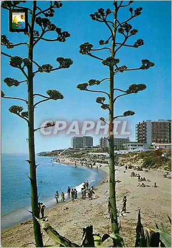 Cartes postales moderne Torremolinos Benalmadena (Costa del sol)