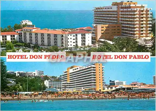 Cartes postales moderne Torremolinos Hoteles Don Pedro