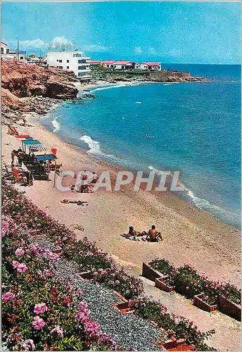 Cartes postales moderne Torremolinos Costa del Sol Plage