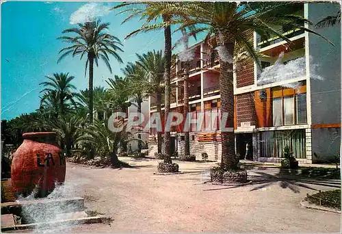 Cartes postales moderne Torremolinos Costa del Sol les rues et Leurs Palmiers