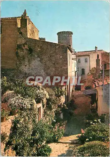 Cartes postales moderne Tossa Costa Brava Rue Typique