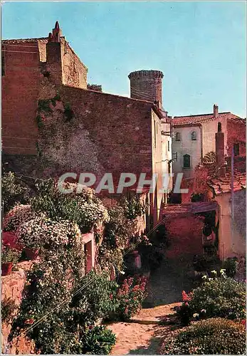 Cartes postales moderne Tossa Costa Brava Rue Typique