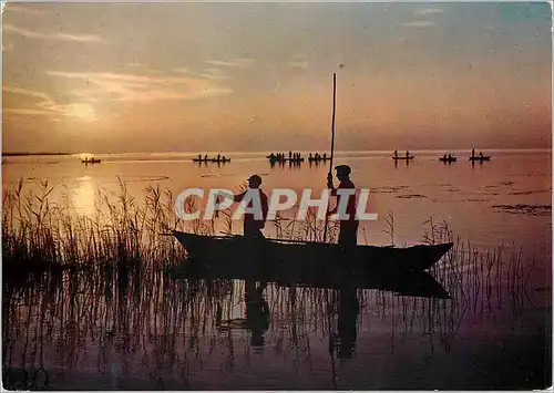 Cartes postales moderne Valencia Albufera Coucher du Soleil