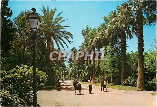 Cartes postales moderne Valencia Jardins du Reel (Viviers)