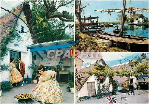 Cartes postales moderne Valencia Vues Typiques de l'Albufera