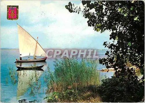 Cartes postales moderne Valencia Albufera