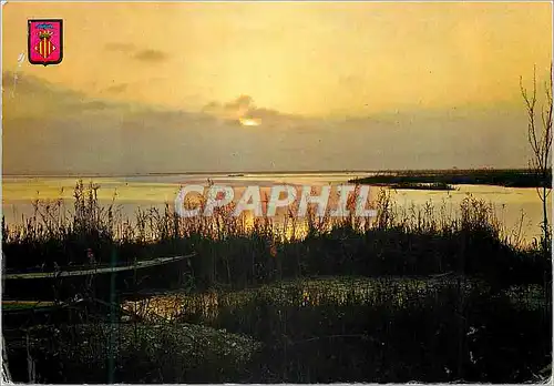 Cartes postales moderne Valencia Albufera Couchee du Soleil