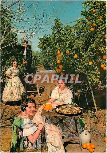 Cartes postales moderne Valencia Mets Typique Paella dans un Verger d'orangers