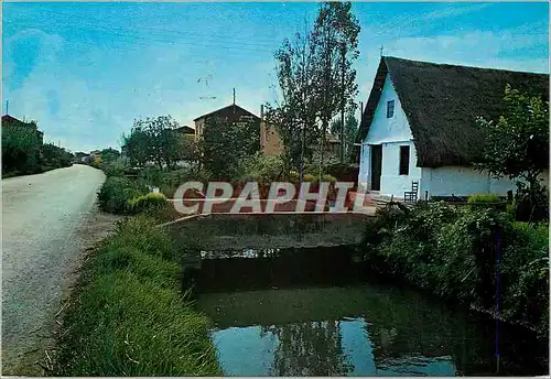 Cartes postales moderne valencia Baraques dans le Jardin Potager