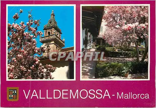 Cartes postales moderne Mallorca Valldemossa La Chartreuse