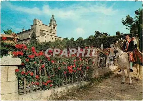 Cartes postales moderne Mallorca Baleares Espana Valldemosa Ane Donkey