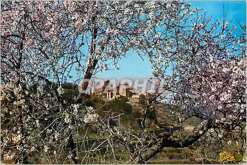 Cartes postales moderne Valldemosa Mallorca