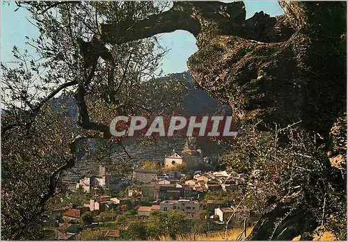 Cartes postales moderne Valldemosa Mallorca Baleares Espana