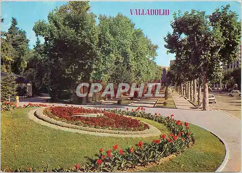 Cartes postales moderne Valladolid Hotloge fleurie dans la promenade Centrale