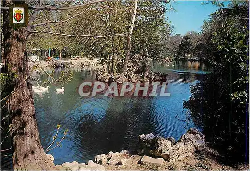 Cartes postales moderne Valladolid Etang du Campo Grande avec un Ile