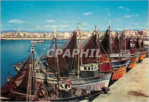 Cartes postales moderne Vinaroz La Ville et le Port Bateaux de peche