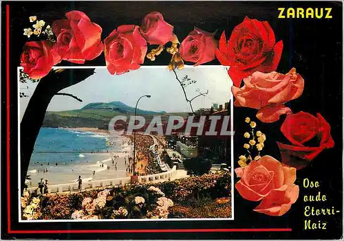 Cartes postales moderne Zarauz (Guipuzcoa)