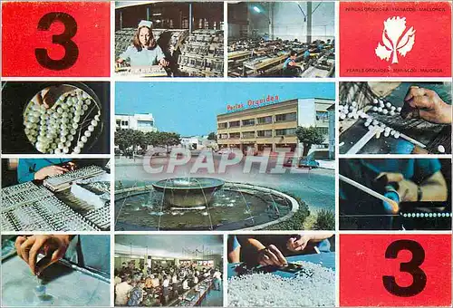 Cartes postales moderne Mallorca Manacor Perlas Orquidea