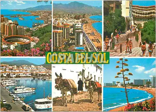 Cartes postales moderne Costa Del Sol Malaga Fuengirola Torremolinos Marbella