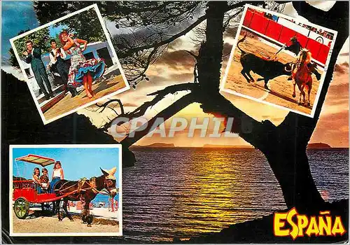 Cartes postales moderne Espana Tipica Corrida Taureau