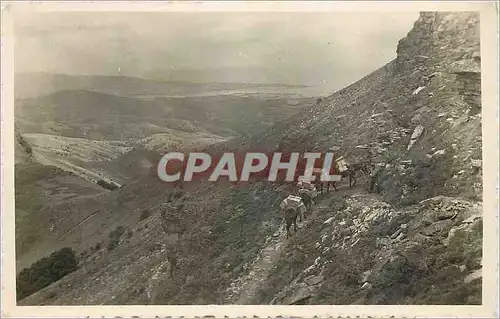 Cartes postales moderne Monte Larun 905m Vera de Bidasoa