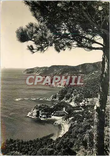 Cartes postales moderne Costa Brava San Feliu de Guixolsco Route de Tossa et Rosamar