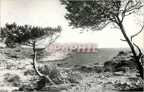 Cartes postales moderne Salou Un aspect de la cote