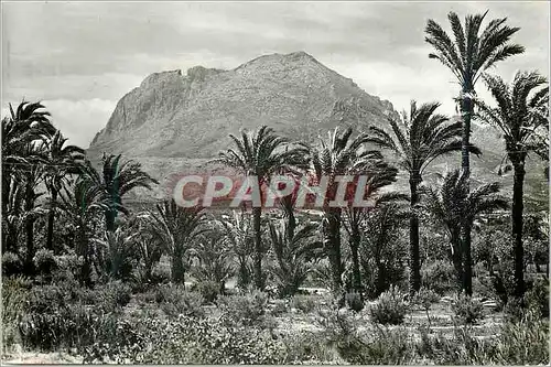 Cartes postales moderne Benidorm