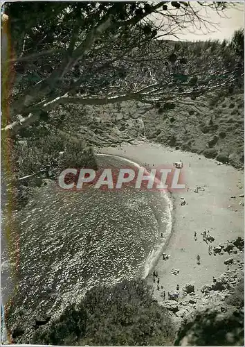 Moderne Karte Costa Brava Llansa Plage Cau del Llop