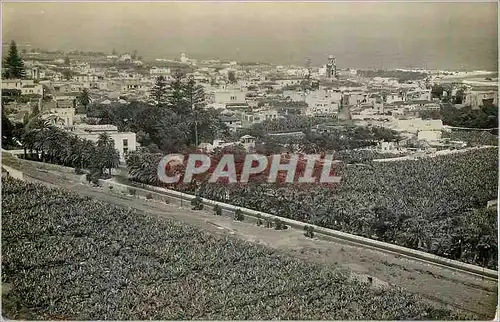 Moderne Karte Puerto de la Cruz Vue Partielle