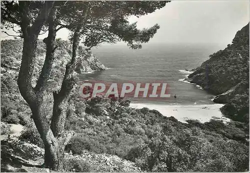 Cartes postales moderne Costa Brava Cala Tipica entre san Faliu y Tossa