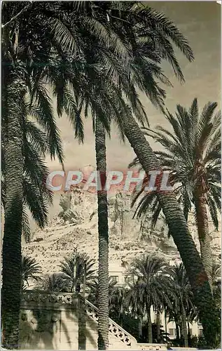 Cartes postales moderne Alicante Detall de la Cabeza del Moro