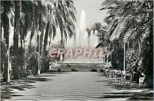 Cartes postales moderne Alicante Promenade et Fontaine