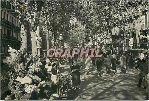 Cartes postales moderne Barcelona la Rambla des Fleurs