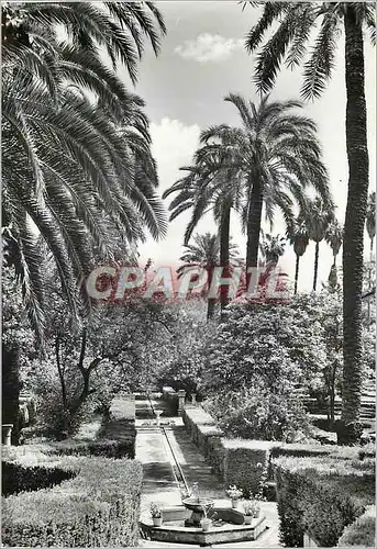 Cartes postales moderne Reales Alcazares de Sevilla Jardins de l'Empereur