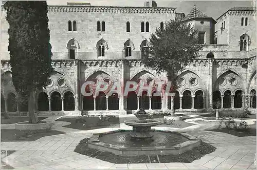 Cartes postales moderne Tarragona Cathedrale Jardin dans le Cloitre