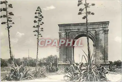 Cartes postales moderne Tarragona L'arc de Bara