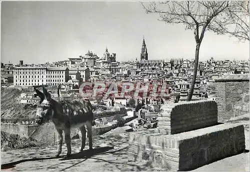 Cartes postales moderne Toledo Vue Partielle Ane Donkey