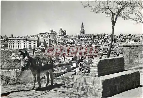 Moderne Karte Toledo Vue Partielle Ane Donkey